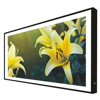 CCRETROILUMINADOS Bild mit Holzrahmen, schwarz lackiert, mit LED-Licht, Blumen, Gelb