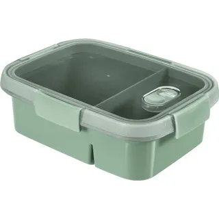 Curver Go rechteckig mehrfarbig 3 l