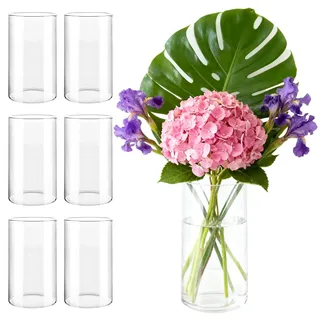 LDXDRU 6er Set Glasvasen 15cm Hohe Glasvase Zylinder, Glaszylinder für Kerzen Windlicht Glas, Blumenvase Glas, Kerzengläser Glaszylinder mit Boden für Kerzen, Blumen, Kieselsteine Muscheln Dekor