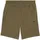 loden green