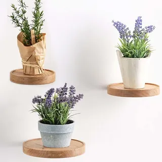 3 Stück Wandregal rund, Ø15cm Schweberegal Rund Holz, Wandregal Klein, Pflanzenregal Holzregal, Schweberegal, Hängeregal, wandboard, Deko Regal, für Blumentopf oder Vase