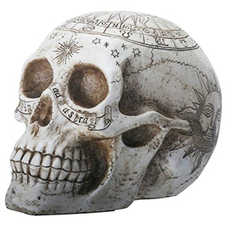 Nemesis Now Dekofigur Totenkopf Astrologisch 29 cm Elfenbein