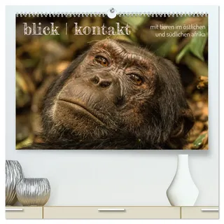 blick kontakt mit tieren im östlichen und südlichen afrika (hochwertiger Premium Wandkalender 2026 DIN A2 quer), Kunstdruck in Hochglanz: tierbeobachtungen (CALVENDO Tiere)