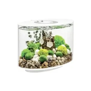 OASE biOrb 86414 biOrb LOOP 15 LED weiß Aquarium EEK: G (A - G) 15 l mit LED-Beleuchtung