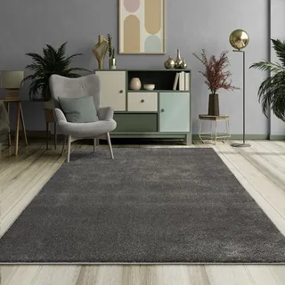 Mia's Teppiche Emely Moderner Weicher Kurzflor (17 mm) Wohnzimmer Teppich - Anthrazit - 200 cm Rund