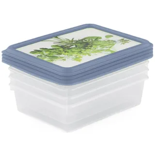 rotho Kräutergefrierdosen Set 4-tlg. RONDO - Blau