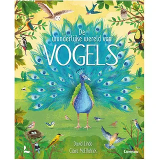 Mundkarten die wundervolle Welt der Vögel