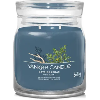 Yankee Candle Bayside Cedar Duftkerze 368 g blau