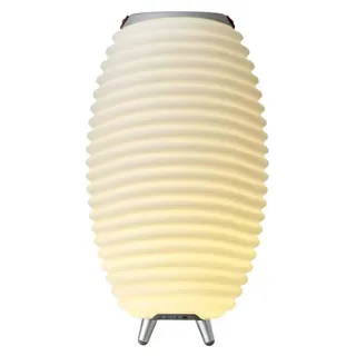 KOODUU Synergy 50 Tragbarer LED Bluetooth Lautsprecher mit Getränkekühler