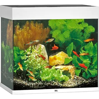 Juwel Lido 120 Aquarium LED Aquarium-Set weiß