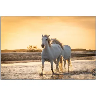Wallario Outdoor-Poster für Garten oder Balkon, Motiv Pferde im Abendlicht, in ca. 61 x 91,50 cm - Gelb