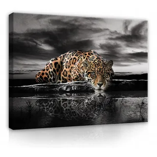 WallArena Leinwand Bilder Tiger Tiere 100x70