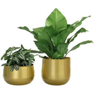 Vixdonos Messingfarbene Metall-Blumentöpfe für den Garten, 19,5 cm (7,1/6,3 Zoll), rund, für Sukkulenten, 2 Stück
