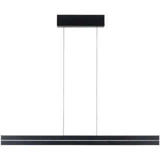 Paulmann 78474 Pendelleuchte Raiko RGBW+ 2300lm / 370lm 19W / 6W Schwarz