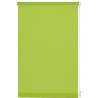 GARDINIA EasyFix Rollo 45x150cm