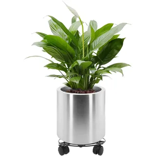 Longrun 25CM Edelstahl Zylindrische Blumentopf, Home Patio Dekor Gartenarbeit Pflanzer Topf - Breiter Rand
