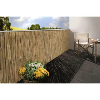 Floraworld Schilfrohrmatte 160 x 600 cm Natur Schilfrohr