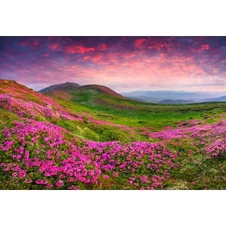 Papermoon Fototapete »Rhododendron Blumen«, bunt