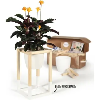 CREATE! by OBI DIY Pflanzständer Klein
