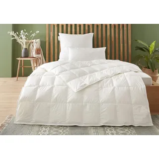 Badenia Trendline Eco Daunen-Kassettendecke leicht mit 90% Daunen und 10% Federn der Klasse I , 155 x 200 cm, weiß, Öko- Tex Zertifiziert, produziert nach deutschem Qualitätsstandard