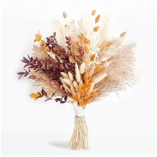 GIDWRIY 64 Stück Natürliche Trockenblumen Deko,Pampgras Getrocknet Blumen Zum Basteln,Trockenstrauß Boho,Trockengräser,Dry Flowers Decoration,Trockenpflanzen,Trockenblumen Gemischte für Hochzeiten