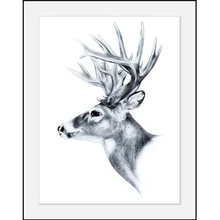 Bild QUEENCE "Hirsch", schwarz (farbe rahmen: schwarz, farbe bild(er): schwarz), B:40cm H:50cm T:3cm, Acrylglas, Holz, Papier, Bilder, Bild, HD Premium Poster-Druck inkl. Holzrahmen