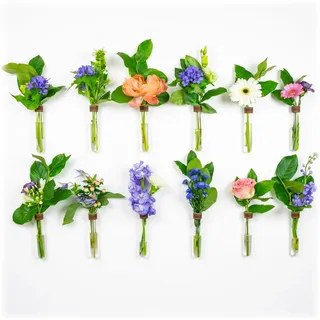 TWILG - Reagenzgläser für Blumen mit cognackfarbenem Leder und Wandmagnet - 12er Set - Blumenvase, Reagenzgläser mit Ständer, Reagenzglas Wand, Magnetische vase