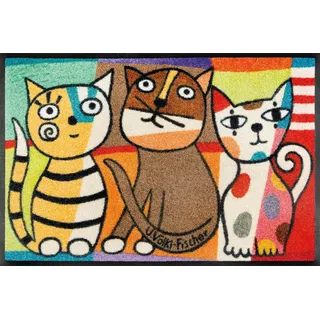 Wash+Dry Fußmatte Miezentreffen 50x75 cm, innen und außen, waschbar, Bunt