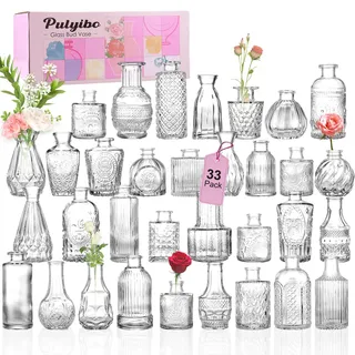 Pulyibo Glas Knospe Vase Satz von 33 Stück, Kleine Vasen für Rustikale Hochzeit Mittelstücke, Mini-Vasen Bulk Home Table Flower Decor, Klare Vasen in Bulk