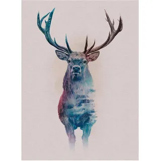 KOMAR Wandbild Animals Deer 30 x 40 cm