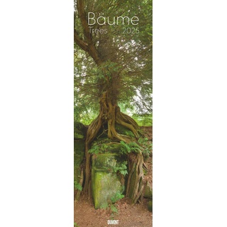 Dumont Kalenderverlag Bäume 2025 - Foto-Kalender - Wand-Kalender - King-Size - 34x98