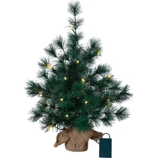Künstlicher Weihnachtsbaum Furu von Star Trading, Kiefer Tannenbaum klein in Grün mit LED Lichterkette und Timer für innen, warmweiß, batteriebetrieben, Höhe: 60 cm