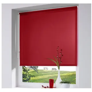 K-HOME Seitenzugrollo