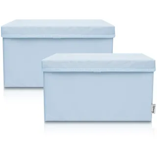 LIFENEY 2-Set Aufbewahrungsbox Kinder (37x25x21cm) I Aufbewahrungskorb für Kinderzimmer und Wohnbereich I Kinder Aufbewahrungskiste (Hellblau)