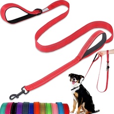 Hundeleine – mit Zwei gepolsterten Griffen, Zwei Hundeleinen-Modi, doppelseitige, reflektierende Nylon-Hundeleine für Training und Spazierengehen, perfekt für mittelgroße Hunde