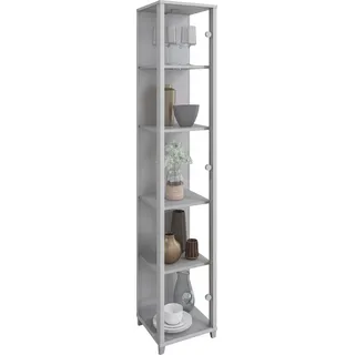 fif möbel Vitrine "OPTIMA" Standvitrine, Vitrinenschrank, Glasvitrine, Sammlervitrine, silber