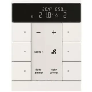 Busch-Jaeger SBC/U6.0.11-84 Raumtemperaturregler