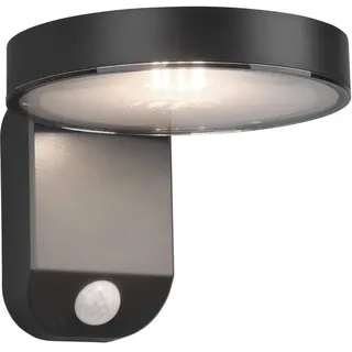 Trio Außenwandleuchte Kunststoff 4,5 W inkl. Bewegungsmelder anthrazit