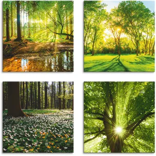 Artland Leinwandbild »Wald Bach Frühling Windrosen Sonne Baum«, Wald, (4 St.), 4er Set, verschiedene Größen, grün