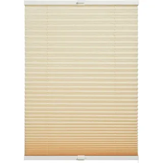 Schöner Wohnen Plissee Milla 80 cm x 220 cm Beige