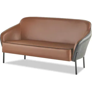 Sofa-Set 2-Sitzer Sofas Braun Schwarz Modern Ledersofas Edelstahl Holz