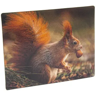 3 D Magnet Eichhörnchen, 9 x 7 cm, Tiere Waldtier, Kühlschrankmagnete Tier