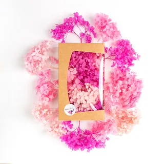 Getrocknete Hortensie Echt - Trockenblumen zum Basteln - Für natürliche Deko - Perfekt für schöne Herbst Dekoration (Rosa und Pink)