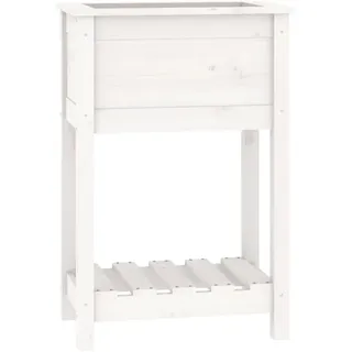 vidaXL Pflanzkübel mit Ablage Weiß 54x34,5x81 cm Massivholz Kiefer - Weiß