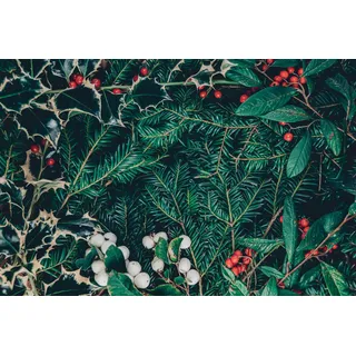 Heizkörperverkleidung Heizkörperverkleidung Magnetmatte Weihnachten 60x100