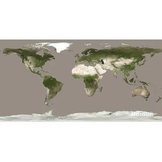 KOMAR Vlies Fototapete World 500 x 250 cm