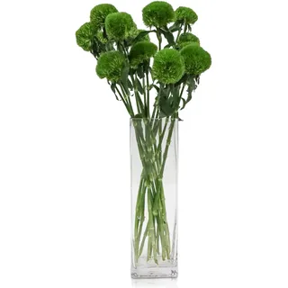 DRERIO Schmale Rechteckige Glasvase 40cm - Große durchsichtige Blumenvase/Bodenvase für Wohnzimmer, Flur und Dekoration