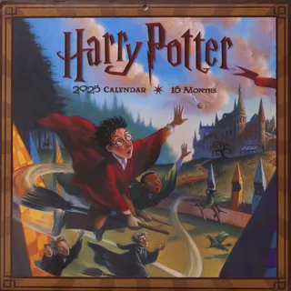 Pyramid – Harry Potter (Literary) 2025 Broschürenkalender, 30x30cm, Monatskalender mit zauberhaften Illustrationen, Kalender für Zauber-Fans, nachhaltig nur mit Papierumschlag