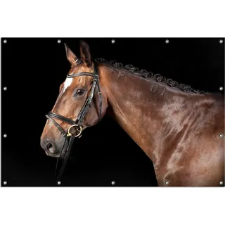 Wallario Outdoor-Poster für Garten oder Balkon, Motiv Herausgeputztes Pferd mit Geschirr, in ca. 120 x 180 cm - Braun