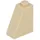 25 hellbeige